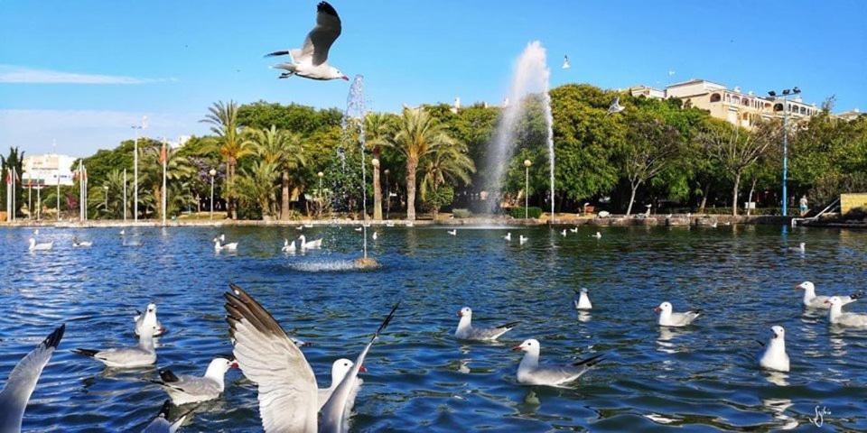 Torrevieja Experience Mar 2 Apartment Bagian luar foto